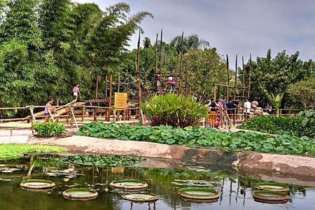 Adventure at Agadir CrocoPark: Discover Crocodiles & Exotic Gardens