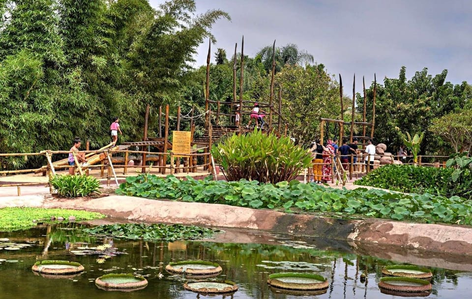 Crocodile Park Tour in Agadir from Taghazout