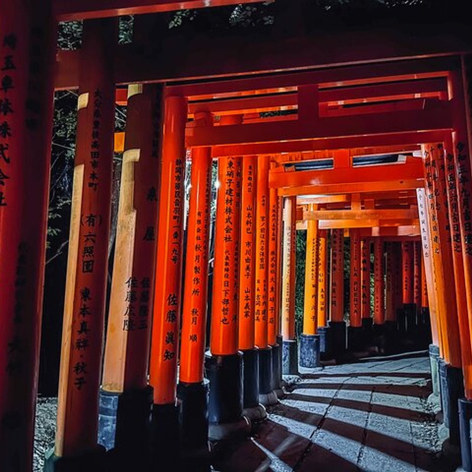 Kyoto City Tour by Van - Uncrowded Bamboos & Red Gates at Night+