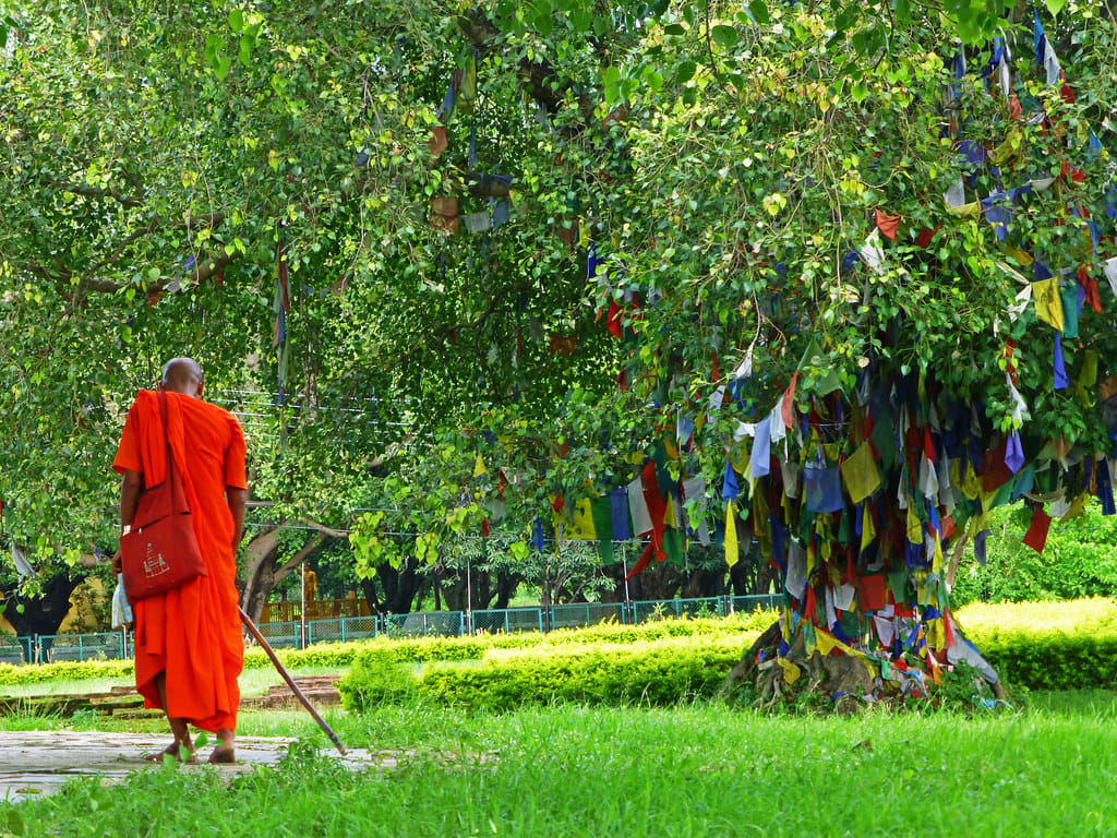 19 Days Mera Peak Climbing & Expedition – One Life-Changing Himalayan Adventure