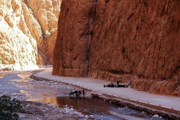 Private 7-Day Tour from Agadir to Marrakech with Desert Highlights