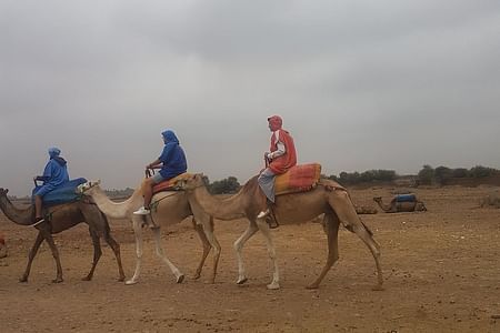 Marrakesh to Atlas Mountains: Camel Ride & Berber Lunch Experience