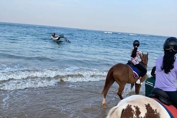 Private Horse Riding in Mount Lavinia
