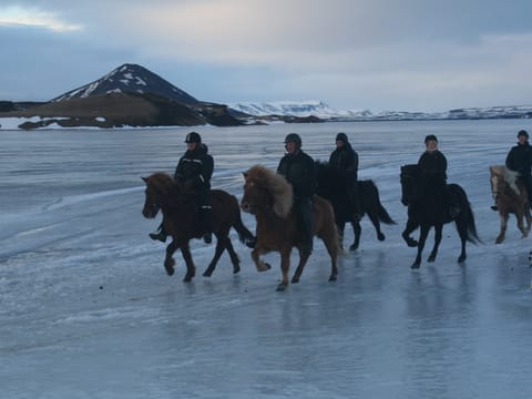 Riding on ice - Lake Myvatn, photo 5