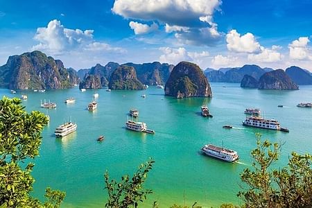 Ha Long Bay Cruise: Explore Surprise Cave, Kayak, and Hike Titop Island