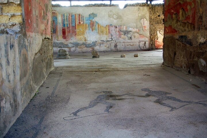 The Ancient World: Private Pompeii, Herculaneum & Vesuvius 8