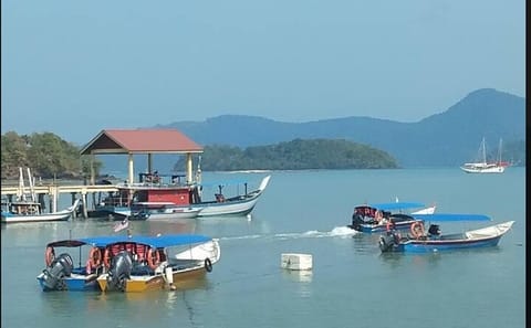 Langkawi Island Hopping Safari: Eagles, Beaches & Hidden Lagoons