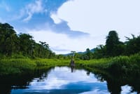 3-Day Manu National Park Tour from Cusco 1