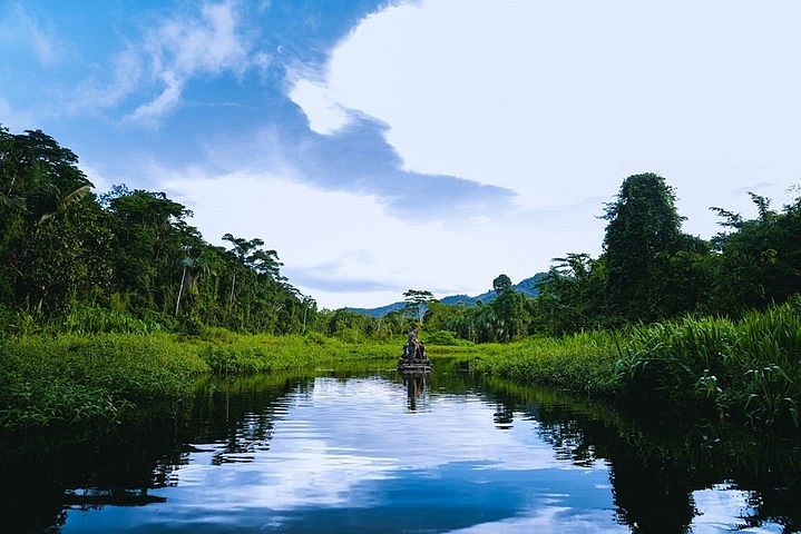 Manu National Park Adventure Tour from Cusco: Explore Peru’s Jungle Paradise