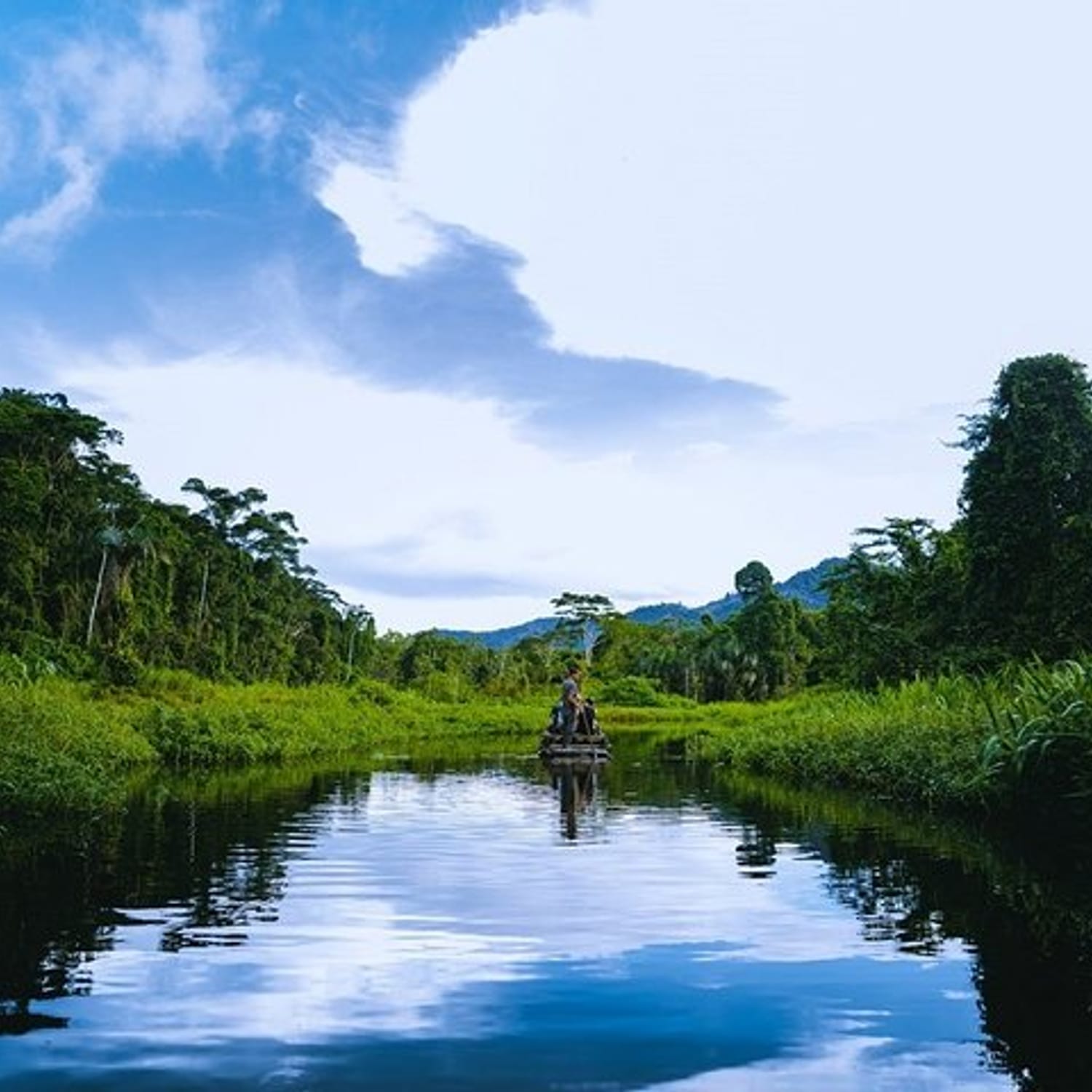 3-Day Manu National Park Tour from Cusco