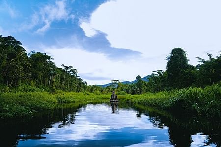 Manu National Park Adventure Tour from Cusco: Explore Peru's Jungle Paradise