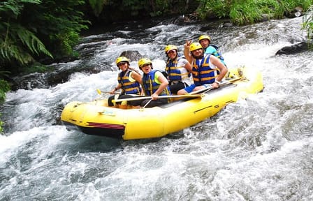 White-Water Rafting on Telaga Waja River in Ubud