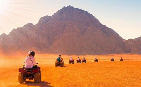 ATV Adventure and Camel Ride with Bedouin Dinner in Sharm El Sheikh