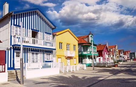 Aveiro and Costa Nova with Moliceiro Cruise Half Day PRIVATE