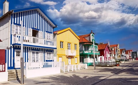 Private Half-Day Tour of Aveiro and Costa Nova with Cruise