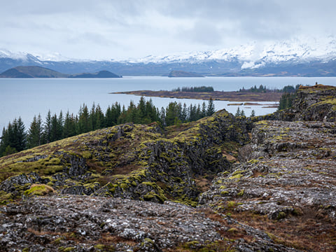 The Golden Circle and the Blue Lagoon | Private Tour, photo 40
