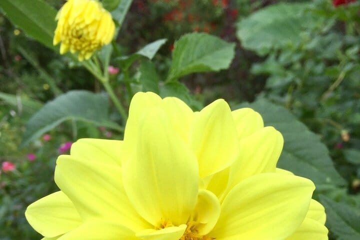 Chiang mai Suthep National Park Leisure Hiking & Mountain Biking