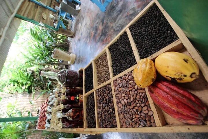 Buggy & ATV adventures-# 1 in puntacana (macao )