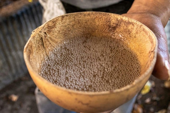 Cata de mezcal y tradición mexicana en Tulum