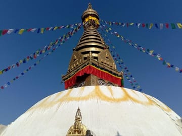 Wildlife and Culture Tour in Bharatpur and Kathmandu