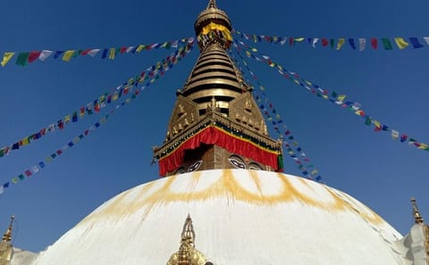Wildlife and Culture Tour in Bharatpur and Kathmandu