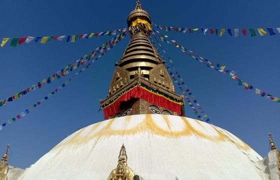 Natural wildlife 6 days vacation