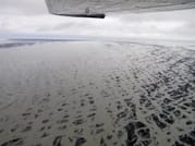 patterns of the river deltas
