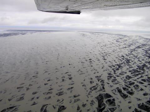 patterns of the river deltas