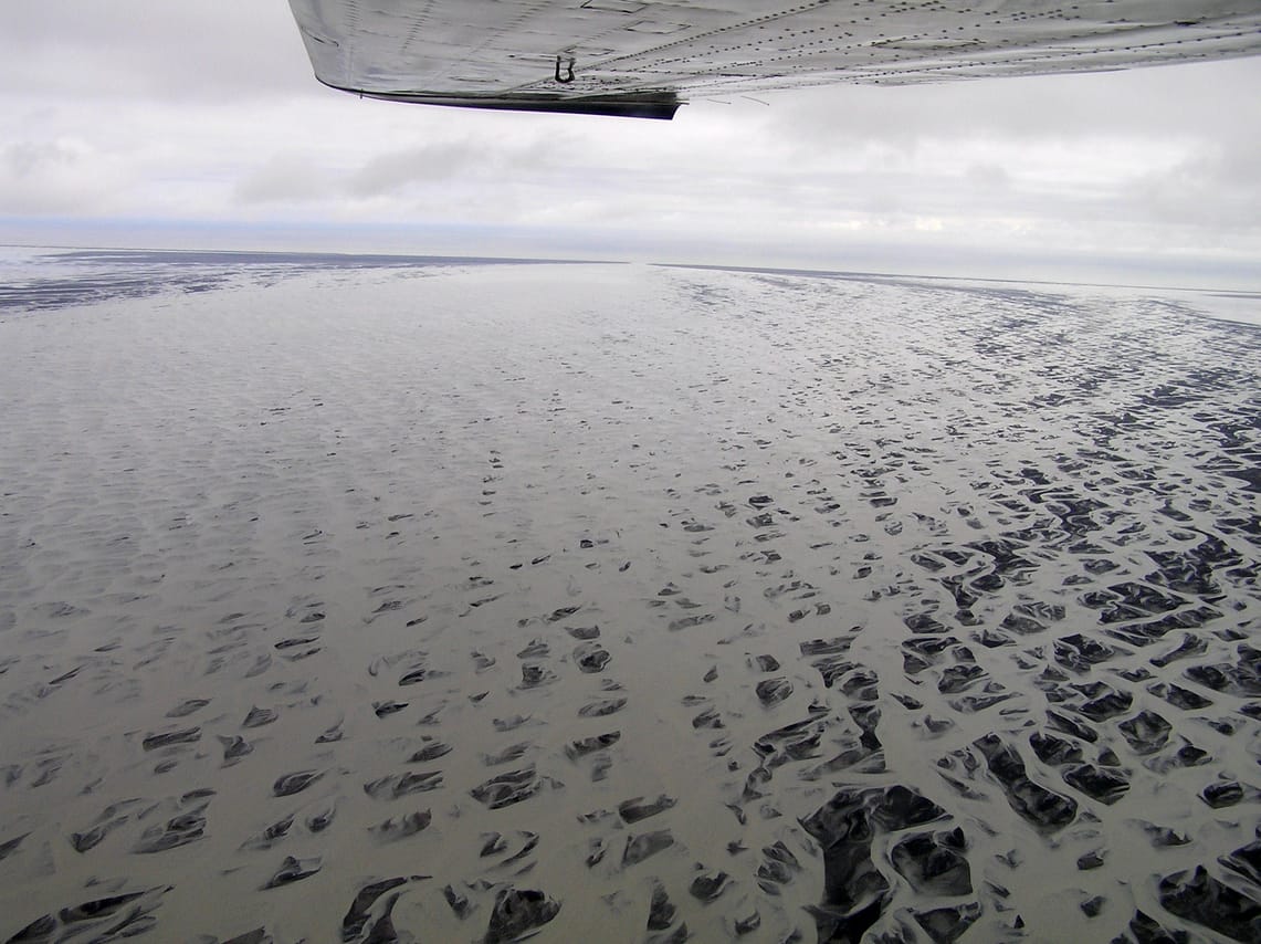 patterns of the river deltas