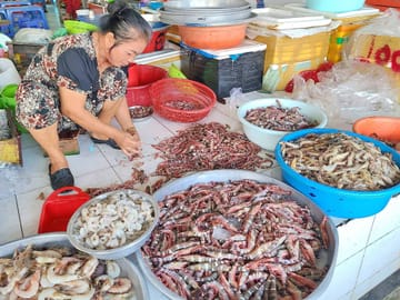 Private Saigon Backstreets Walking Tour Half Day