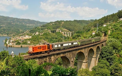 Day Trip from Porto to Régua with Scenic Boat Return