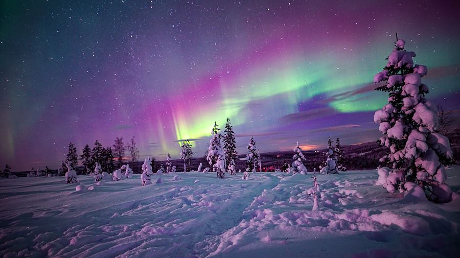 Northern Lights in Rovaniemi, Lapland