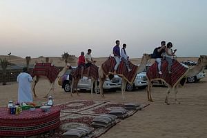 Dubai Camel Caravan with BBQ Dinner Buffet