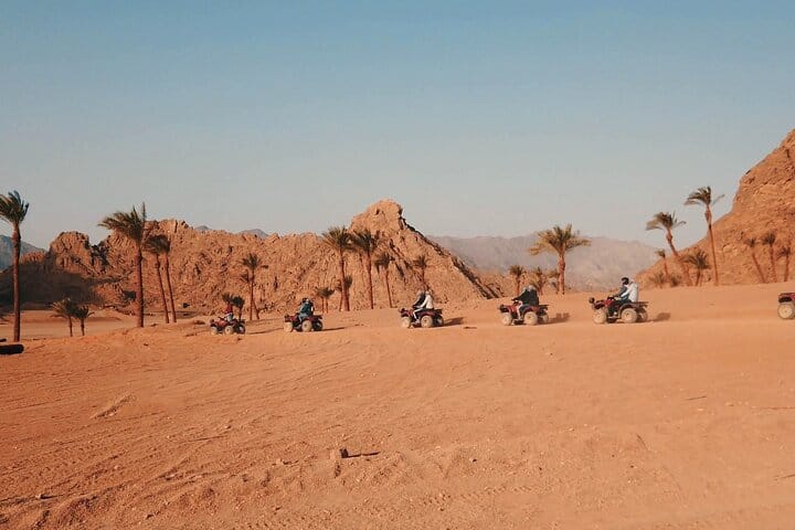 Sharm El Sheikh Desert Quad Safari with Stargazing & Dinner Show