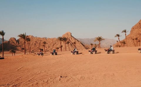 Quad Safari and Stargazing Dinner in Sharm El Sheikh