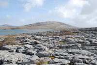 Cliffs Of Moher, Burren and Galway Tour From Dublin 8
