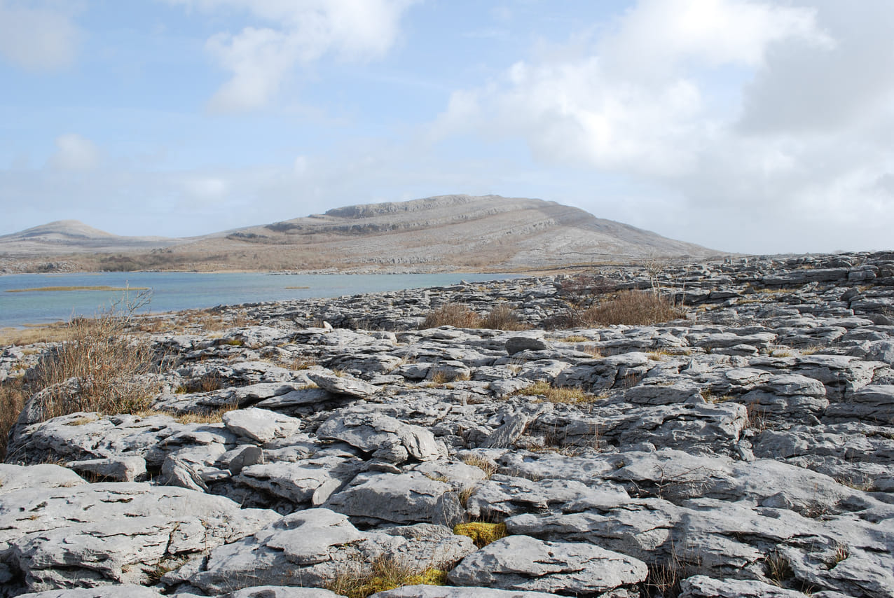 Cliffs Of Moher, Burren and Galway Tour From Dublin 8