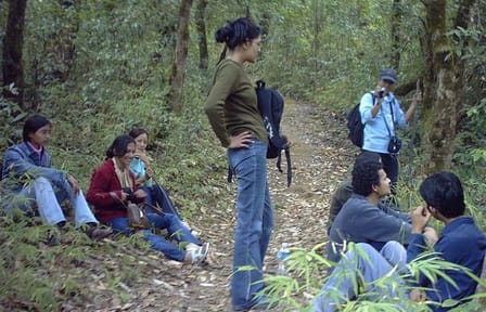 1 Day Phulchowki Day Hike – A Scenic Escape to Kathmandu’s Highest Hill