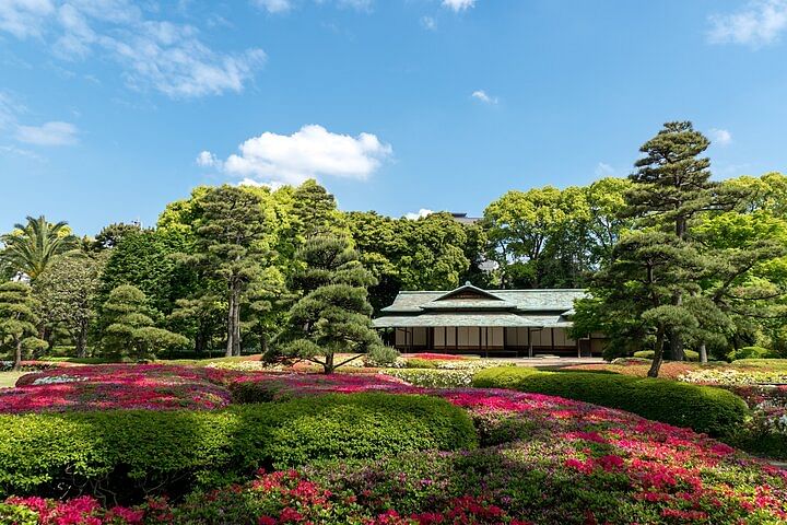 The East Garden of the Imperial Palace 2h Walking Tour