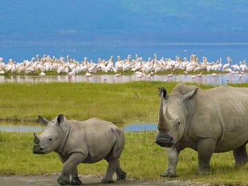 4 Days group safari in a safari van With no park fees
