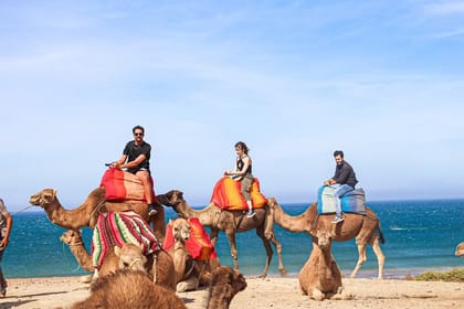 From Tangier: Cap Spartel and Hercules Cave with Camel Ride