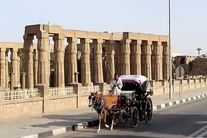 City Tour One Hour By Horse Carriage & 1 hour River Nile boat Private tour-Luxor