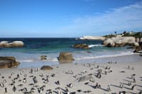 The Peninsula and Cape of Good Hope 6