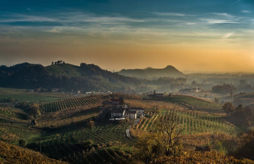 Barolo Wine Tour with Lunch from Milan