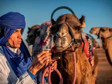 Thrill and Chill: Quad & Camel Ride Adventures in Agafay Desert
