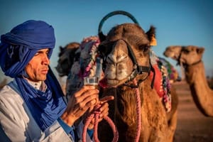 Thrill and Chill: Quad & Camel Ride Adventures in Agafay Desert