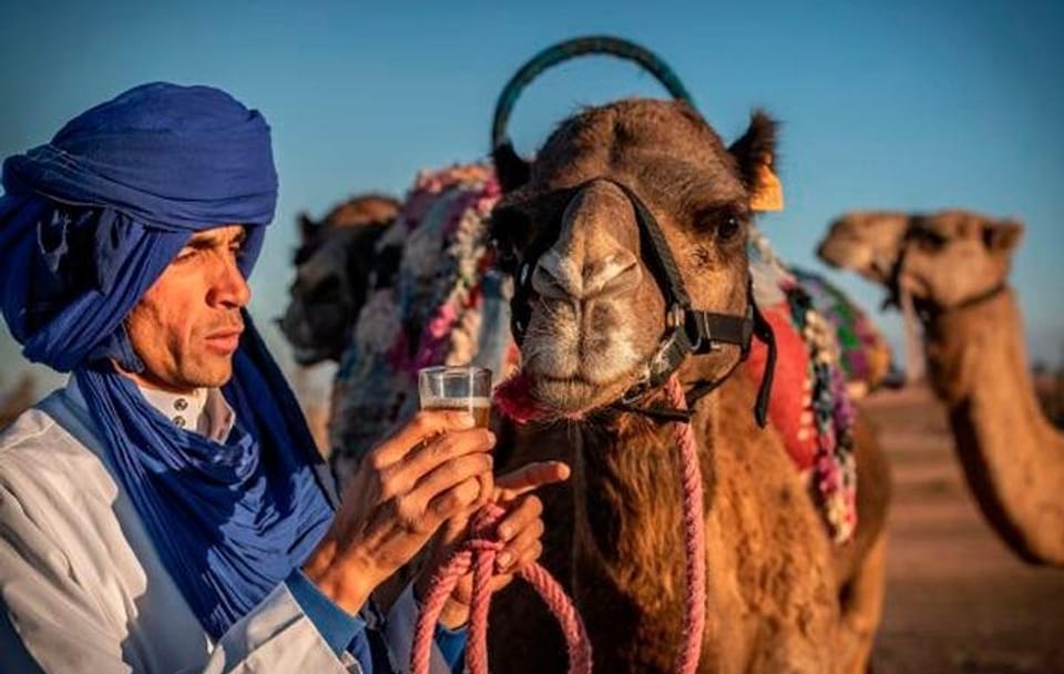 Quad Biking and Camel Riding in Agafay Desert from Marrakesh