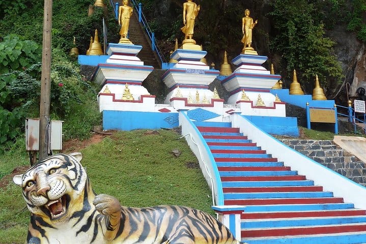 Thailand’s Last Lowland Rainforest – A Hidden Gem Tour 10