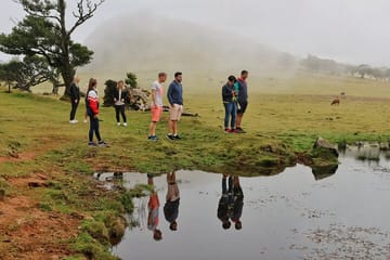 Adventure Tour to Porto Moniz Pools and Fanal in Madeira