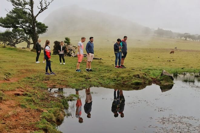 Madeira West Porto Moniz pools - Enchanted Terraces Fanal Unesco photo 5